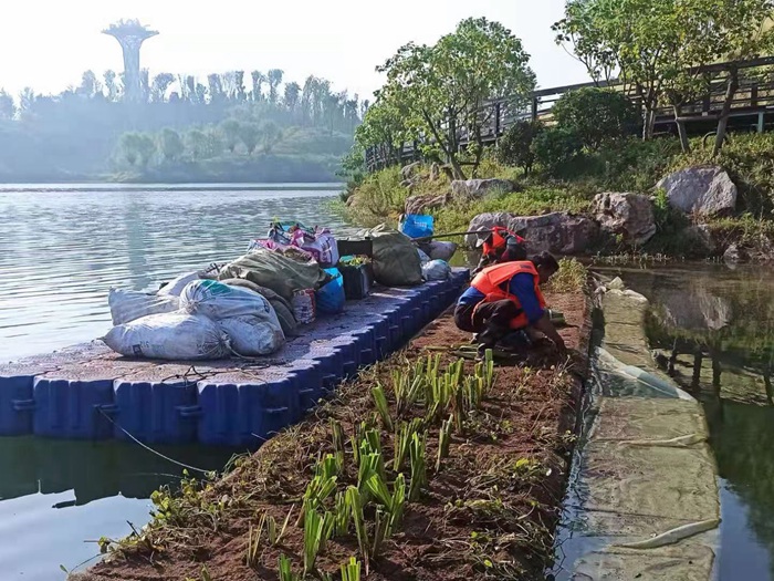 人工浮动湿地 
